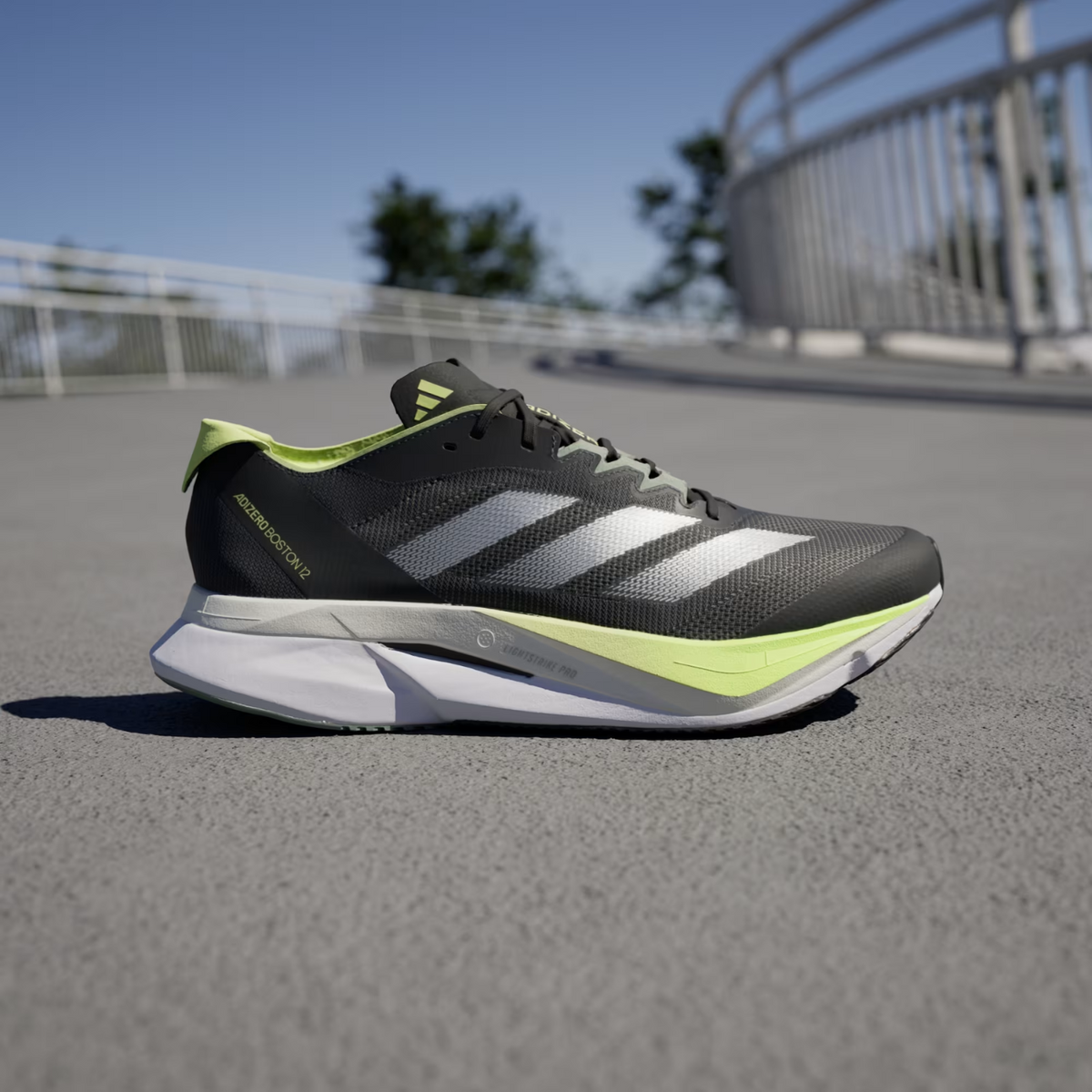 Adidas Boston 12 Mens - FOOTWEAR - Mens Everyday Training