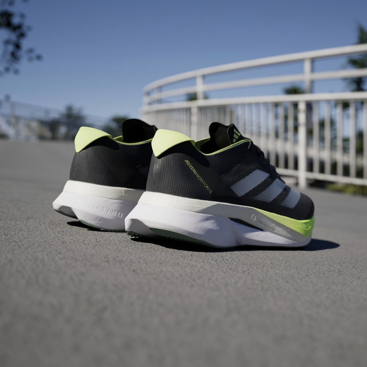 Adidas Boston 12 Mens - FOOTWEAR - Mens Everyday Training