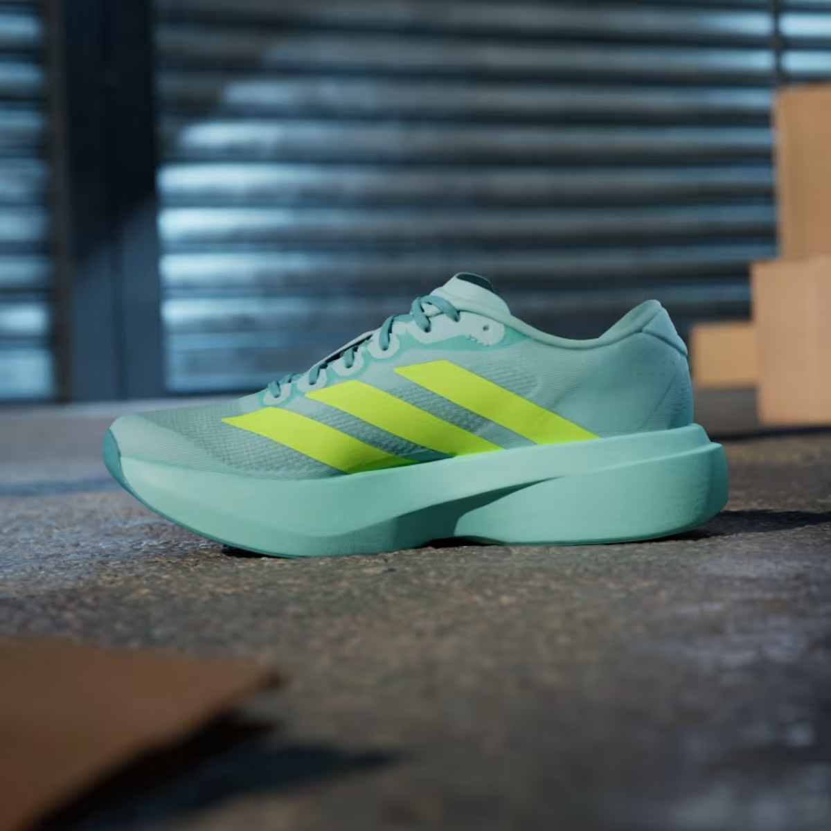 ADIDAS Adizero Evo SL Women's - FOOTWEAR - Womens Neutral
