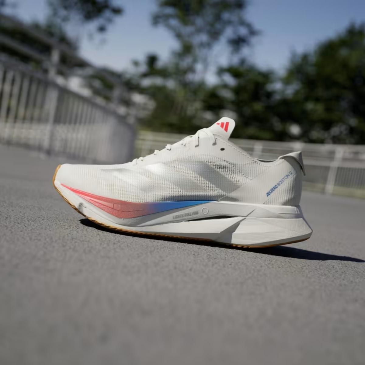 ADIDAS Boston 12 Womens FOOTWEAR - Womens Everyday Training