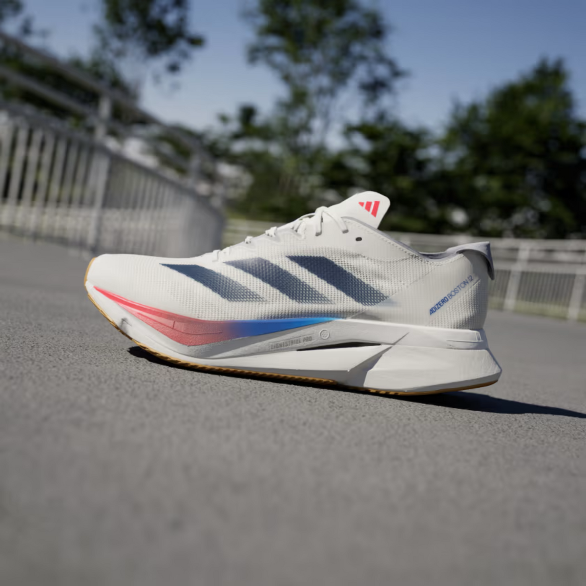 ADIDAS Boston 12 Mens FOOTWEAR - Mens Everyday Training