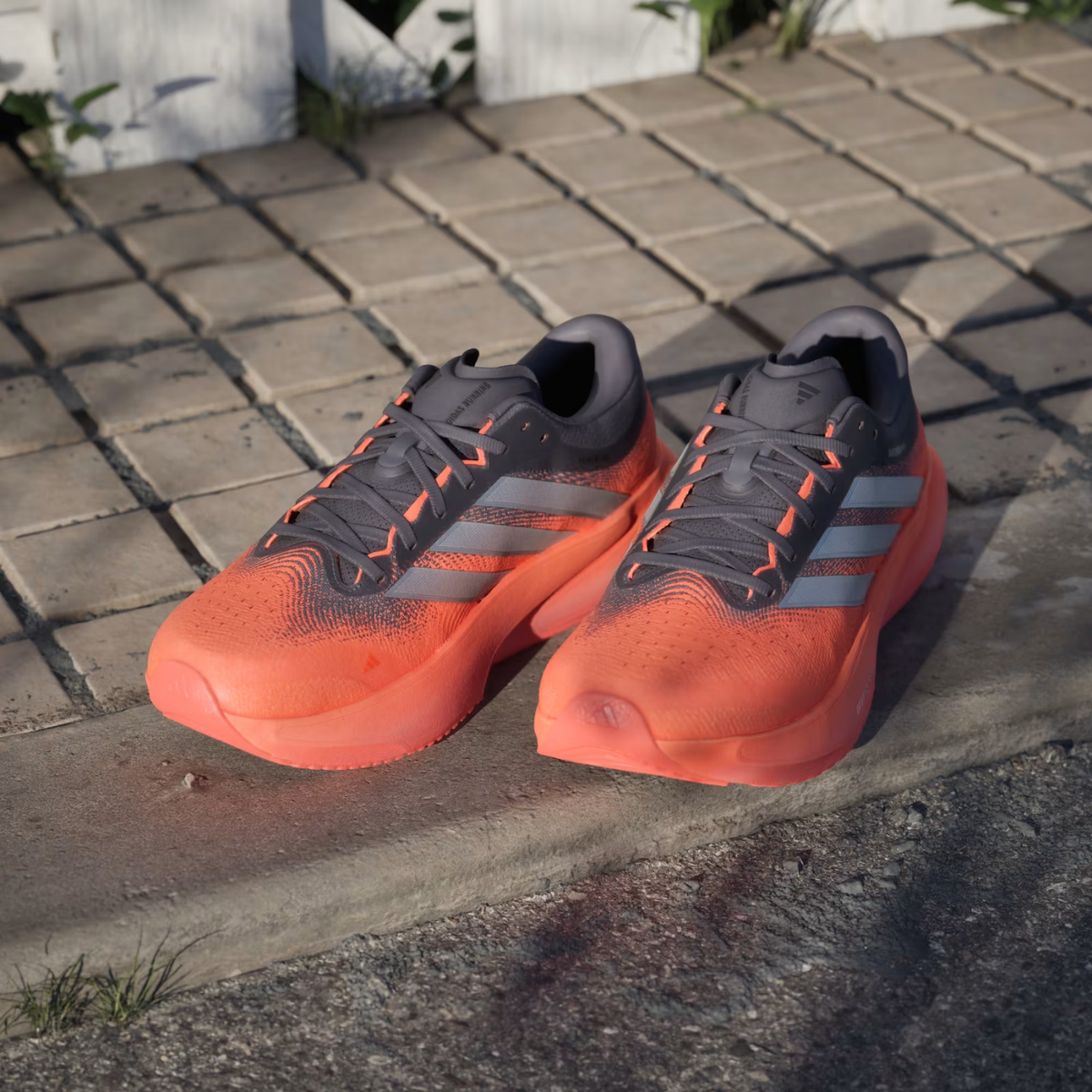 ADIDAS Supernova Rise 3 Mens FOOTWEAR - Mens Neutral Cushioned