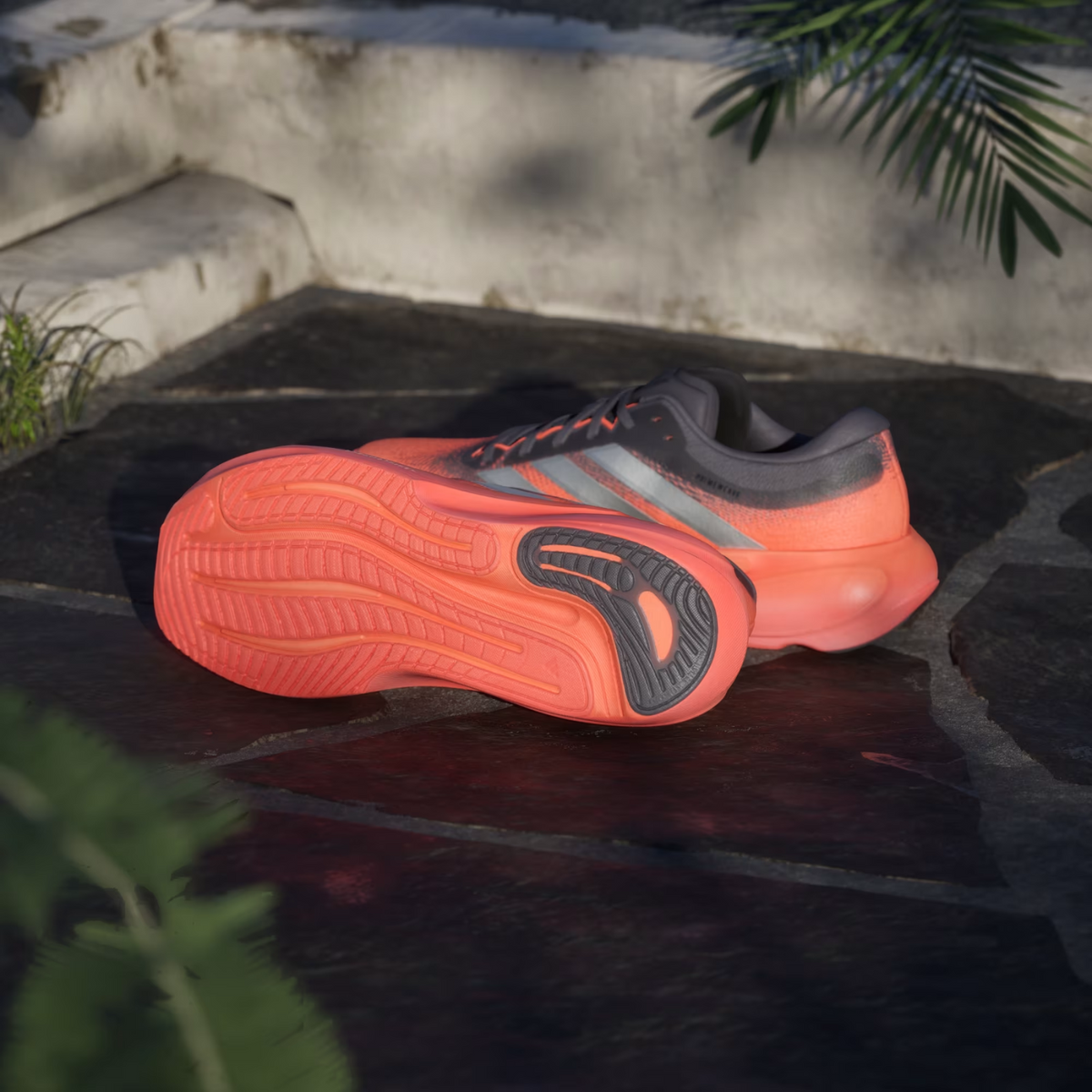 ADIDAS Supernova Rise 3 Men's FOOTWEAR - Mens Neutral Cushioned