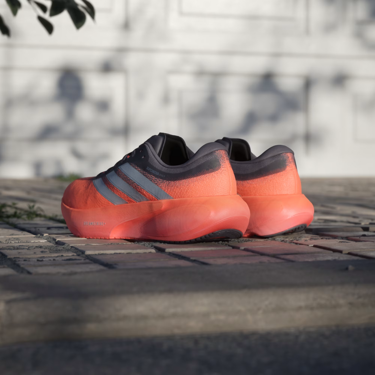 ADIDAS Supernova Rise 3 Mens FOOTWEAR - Mens Neutral Cushioned