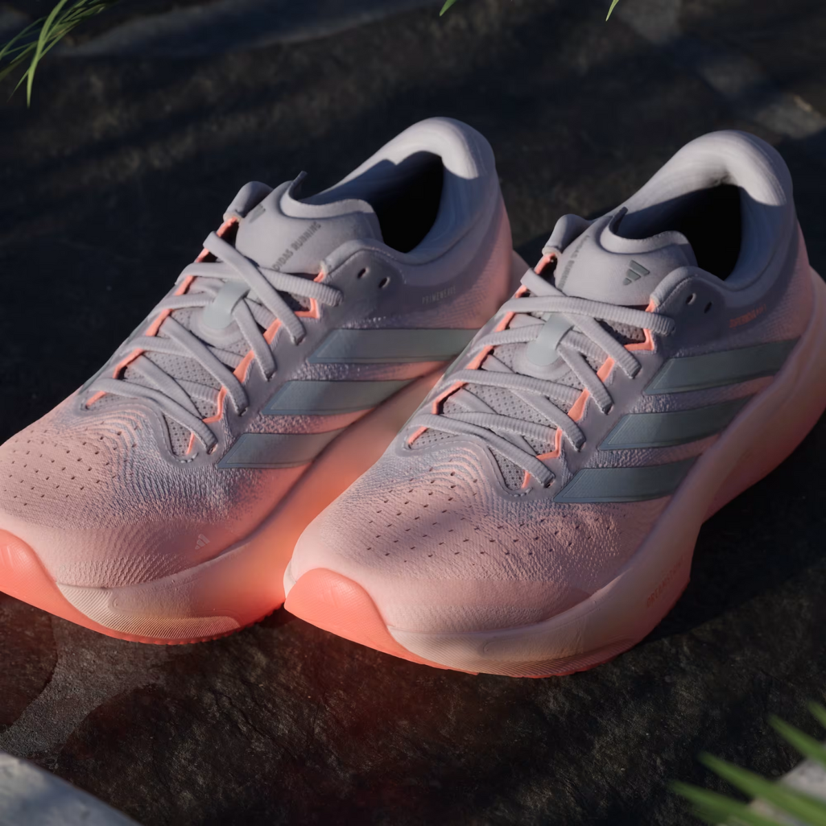 ADIDAS Supernova Rise 3 Women's FOOTWEAR - Womens Neutral Cushioned