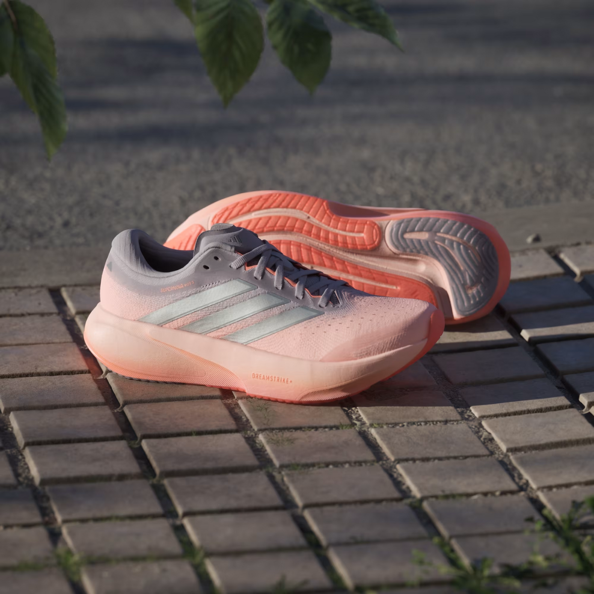 ADIDAS Supernova Rise 3 Women's FOOTWEAR - Womens Neutral Cushioned