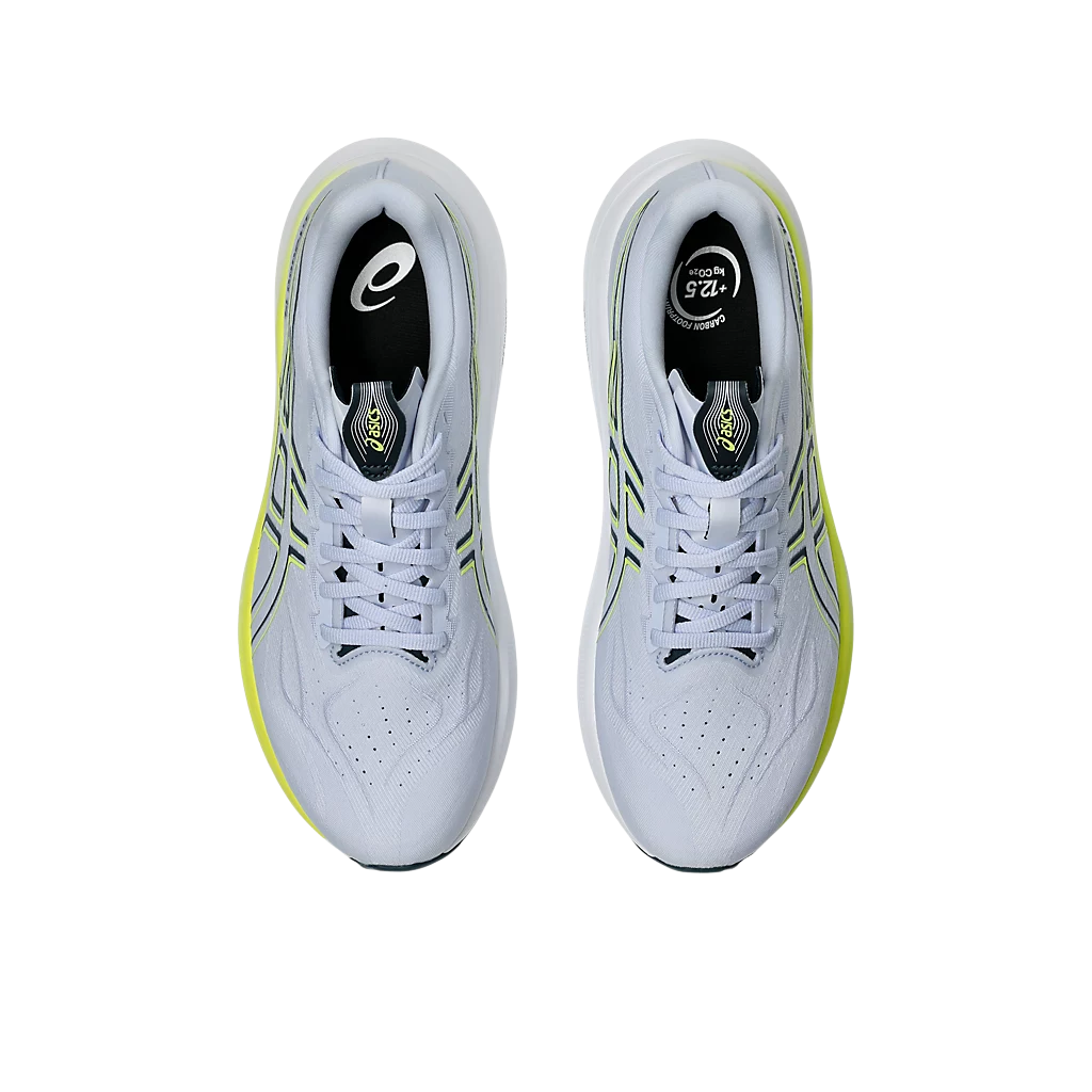 ASICS GT-2000 14 Mens FOOTWEAR - Mens Stability