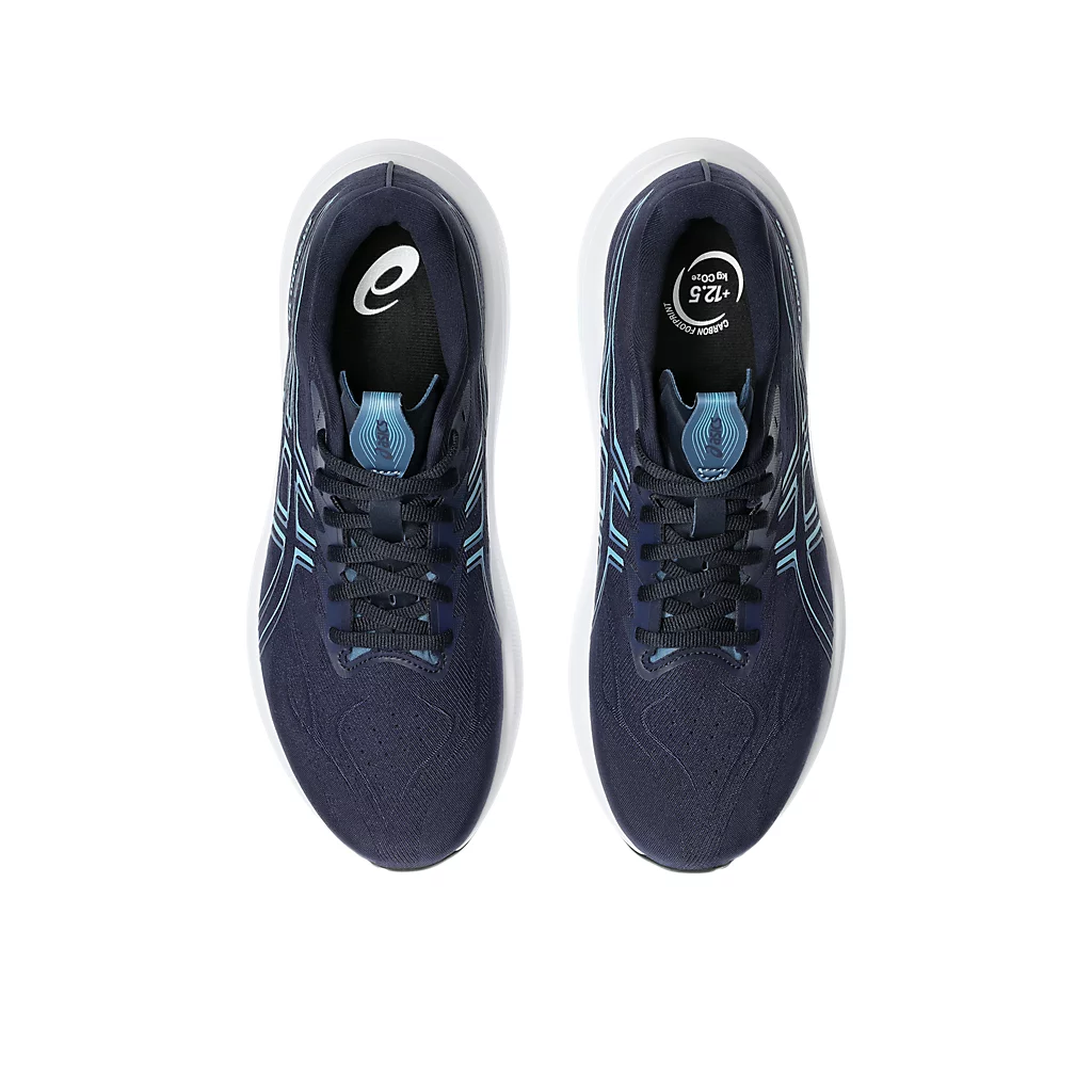 ASICS GT-2000 14 Mens Wide FOOTWEAR - Mens Stability