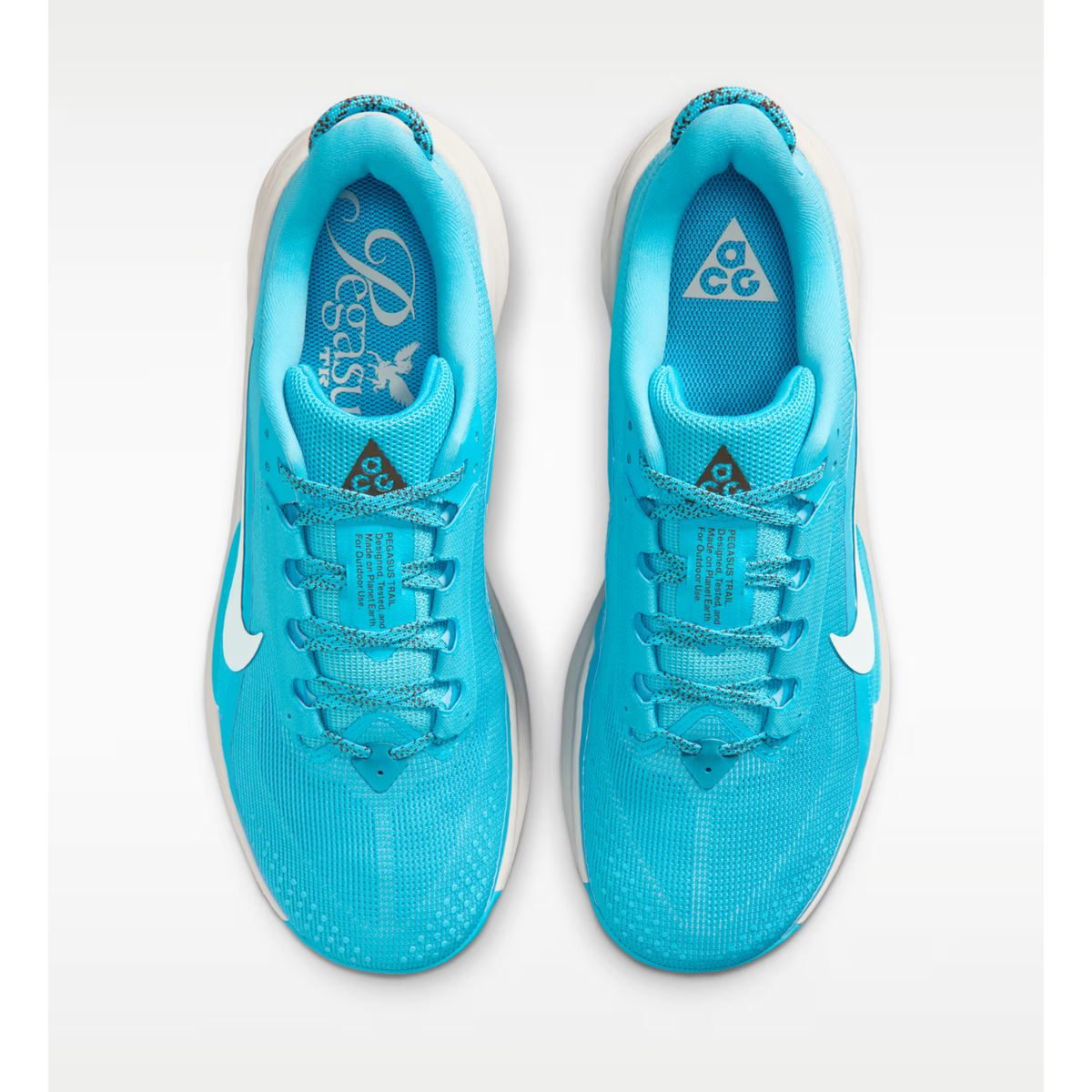 NIKE ACG Pegasus Trail Mens FOOTWEAR - Mens Trail