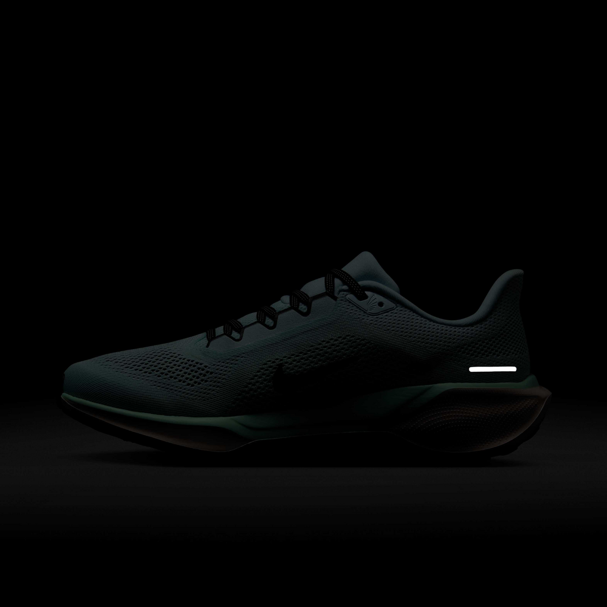 NIKE Air Zoom Pegasus 41 Women's - FOOTWEAR - Womens Neutral