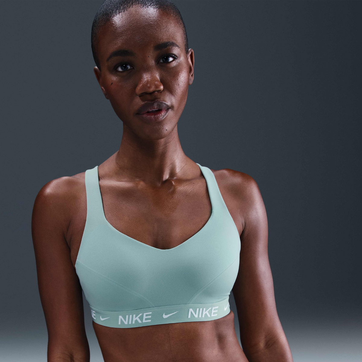 NIKE Indy High-Support Sports Bra Womens APPAREL - Womens Bras CANNON