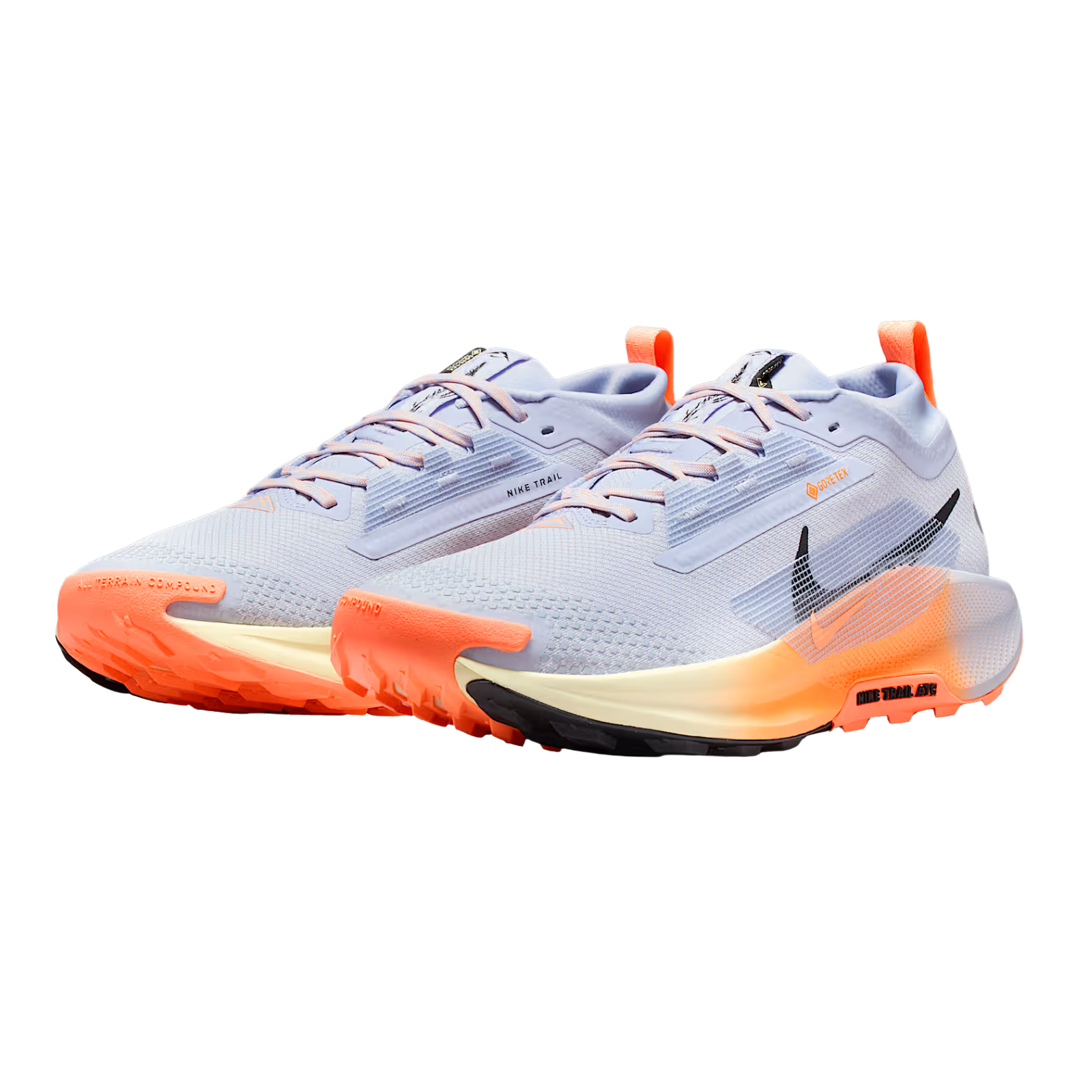 Nike Pegasus Trail GTX Women's Sole Motive1