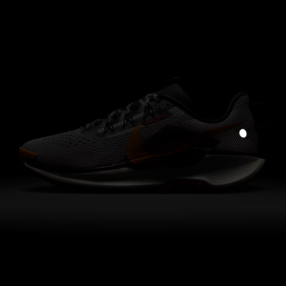 NIKE Pegasus Trail 5 Mens - FOOTWEAR - Mens Trail