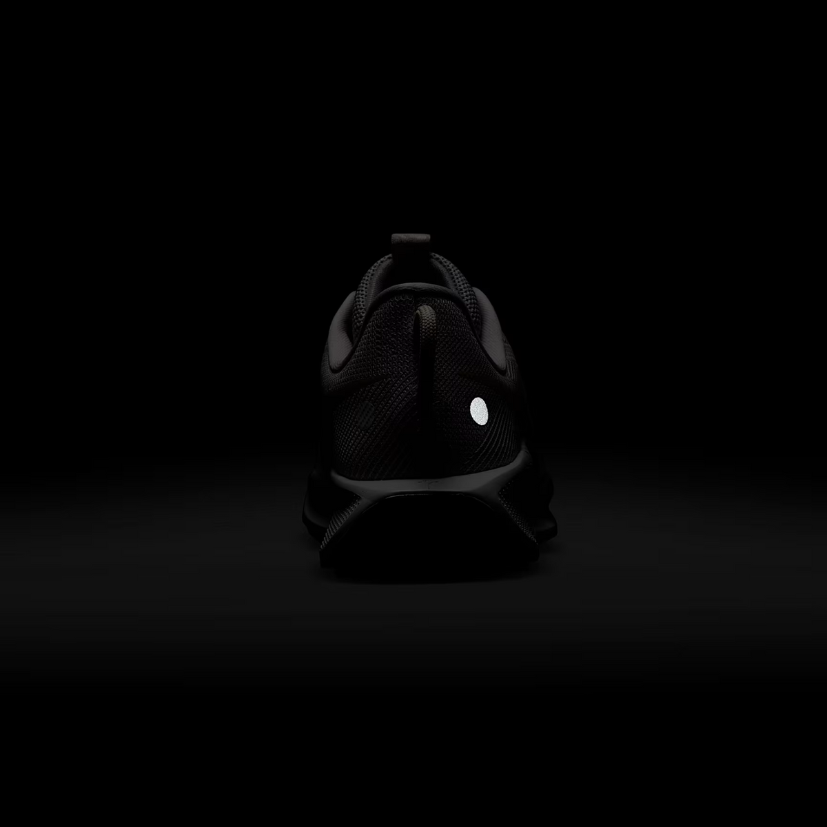 NIKE Pegasus Trail 5 Womens - FOOTWEAR - Womens Trail