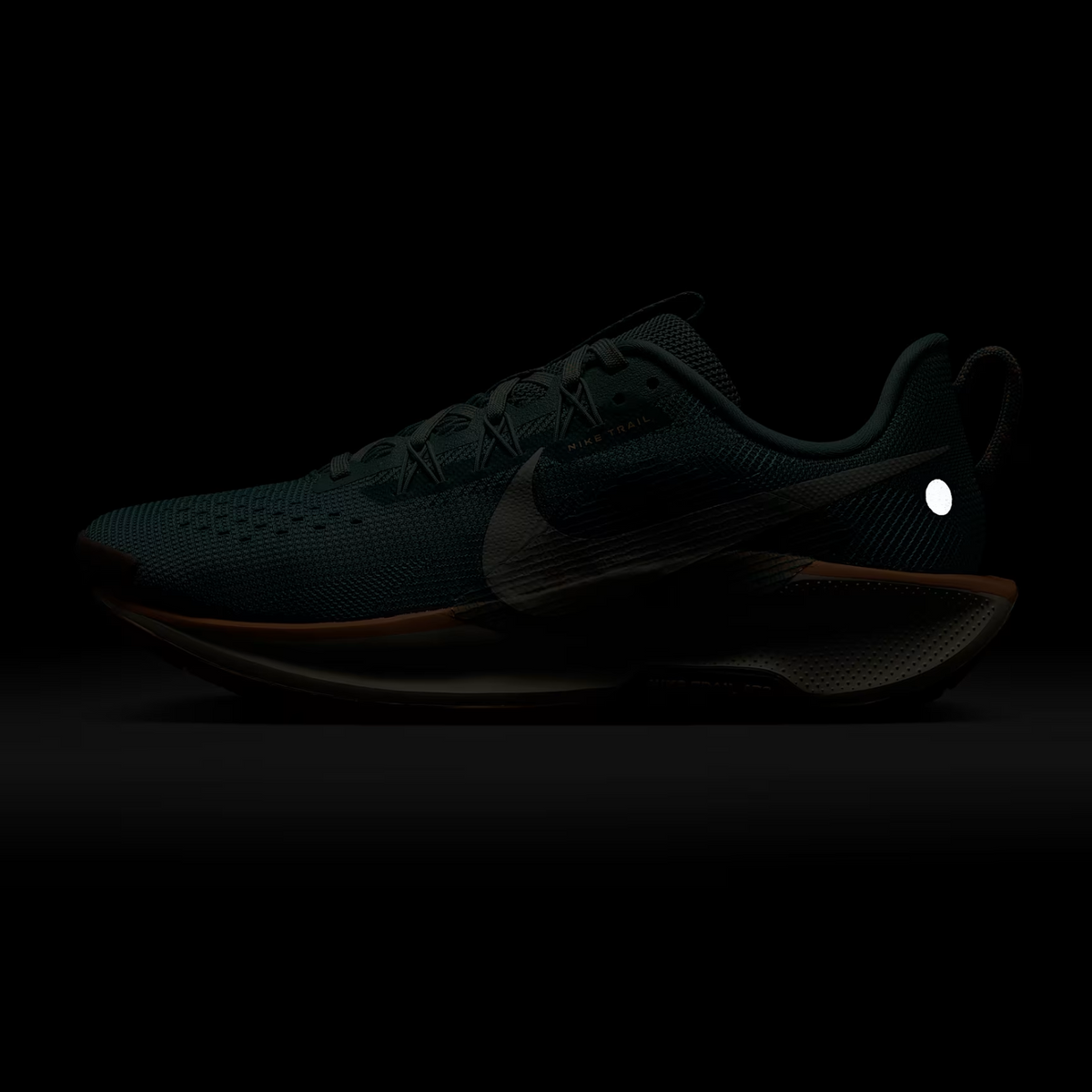 NIKE Pegasus Trail 5 Womens - FOOTWEAR - Womens Trail