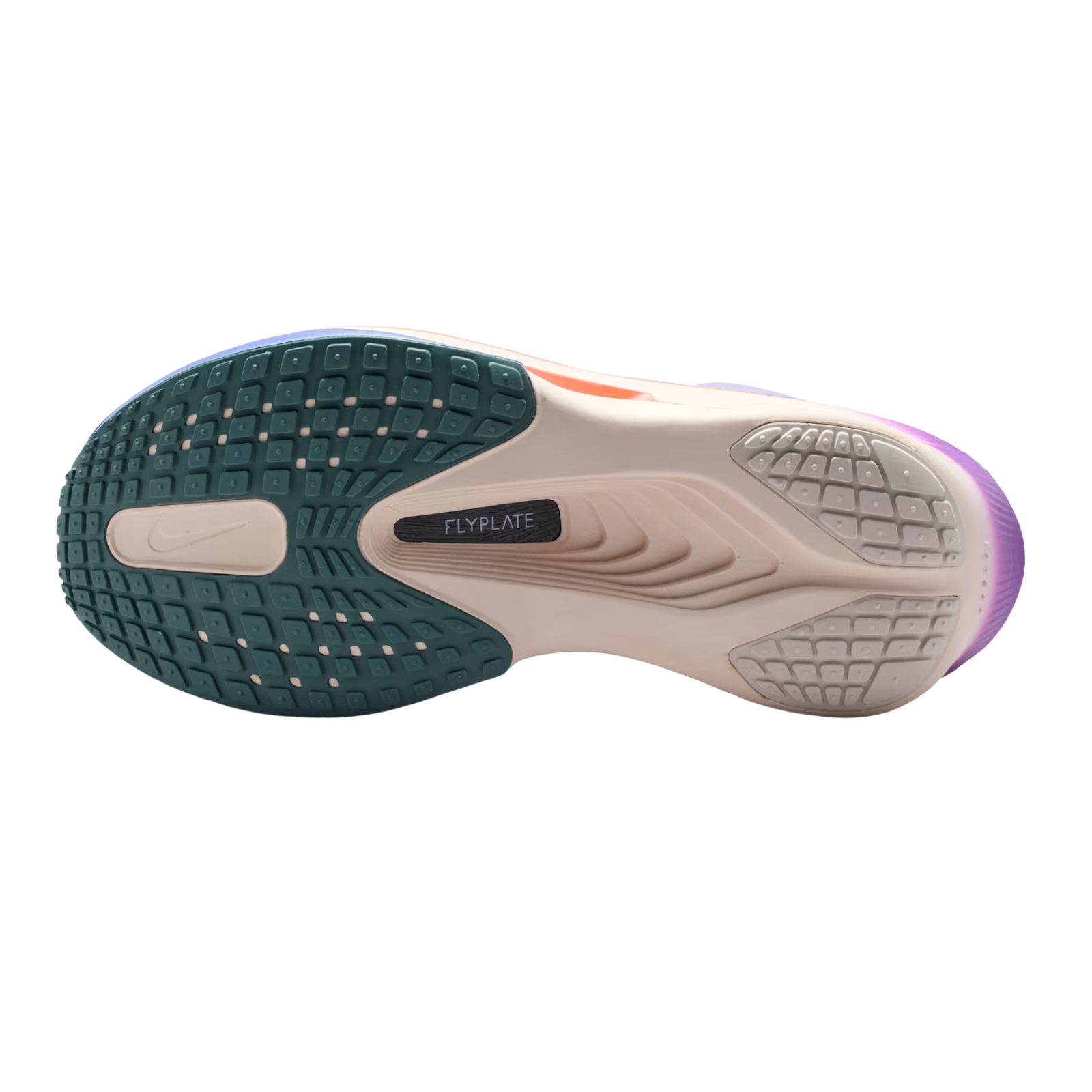 pegasus 38 carbon plate