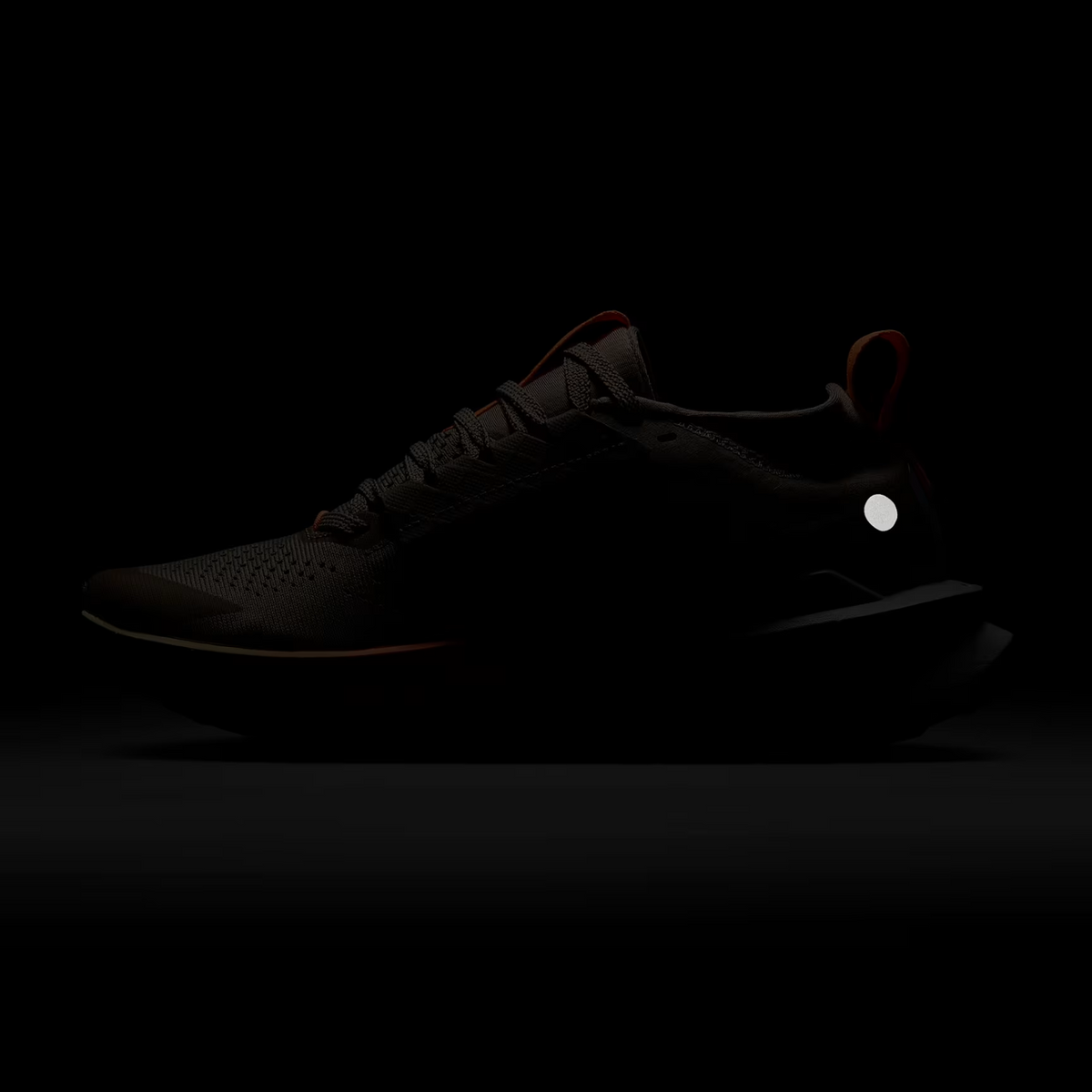 NIKE ZoomX Zegama Trail 2 Womens - FOOTWEAR - Womens Trail