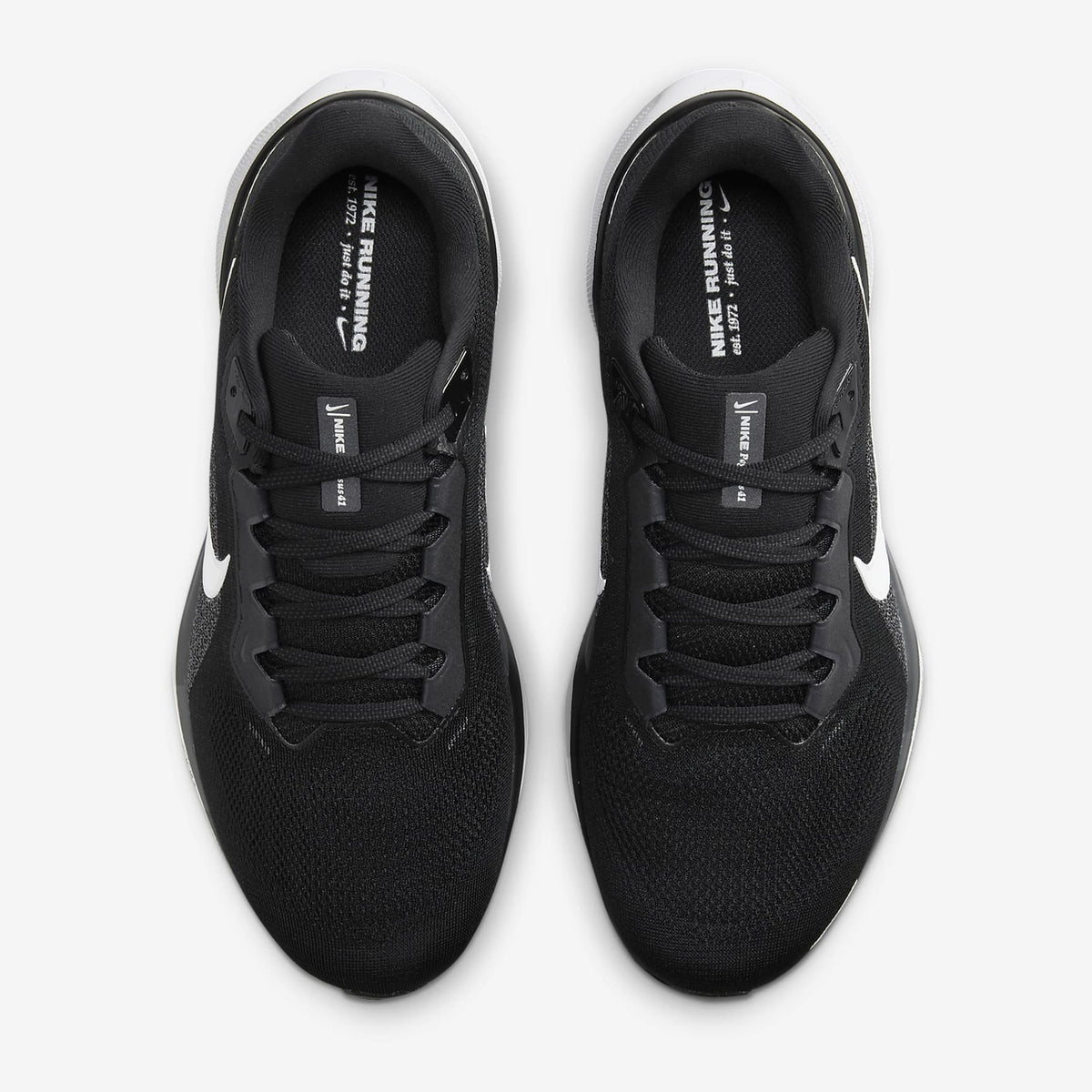 NIKE Air Zoom Pegasus 41 Mens FOOTWEAR - Mens Neutral