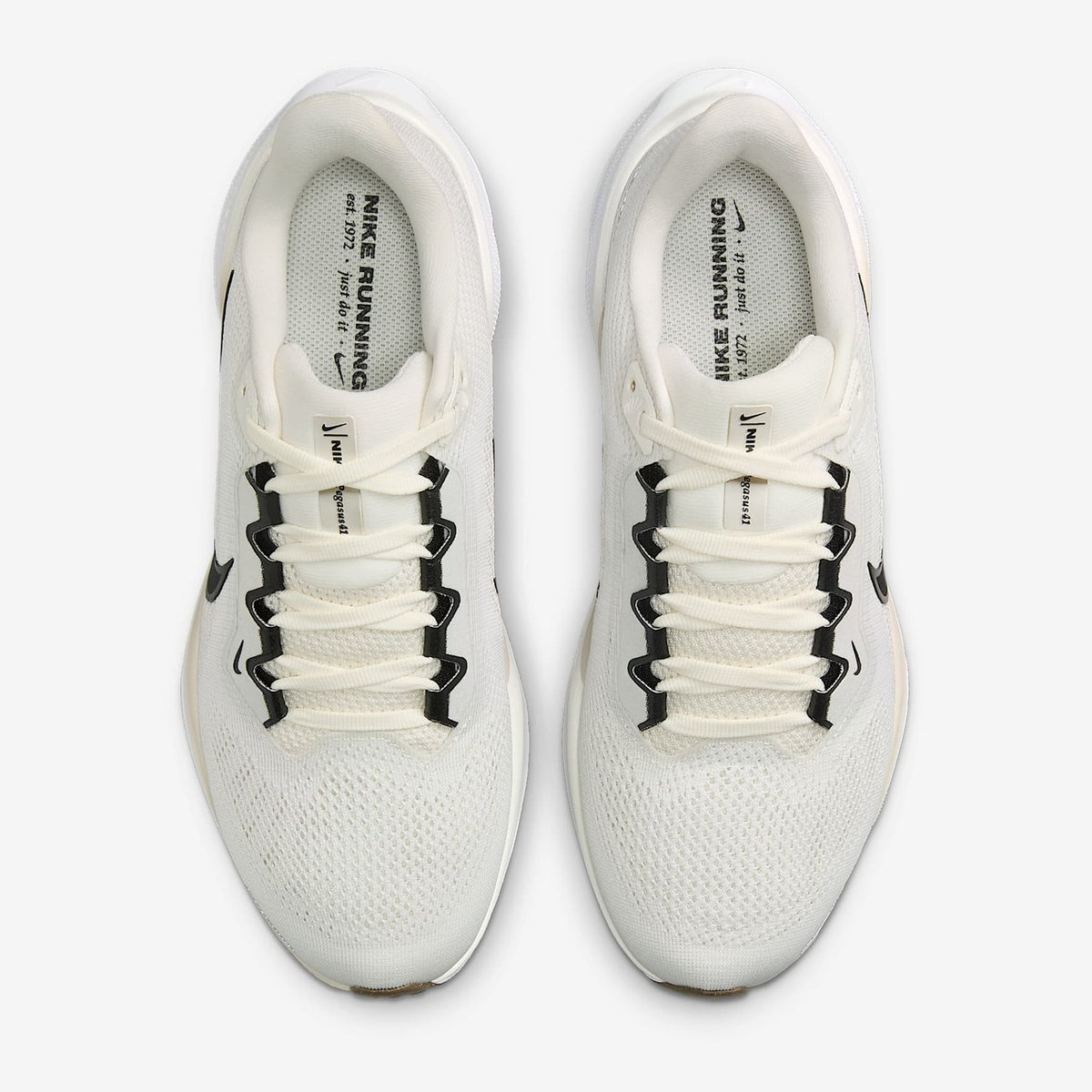 NIKE Air Zoom Pegasus 41 Womens FOOTWEAR - Womens Neutral