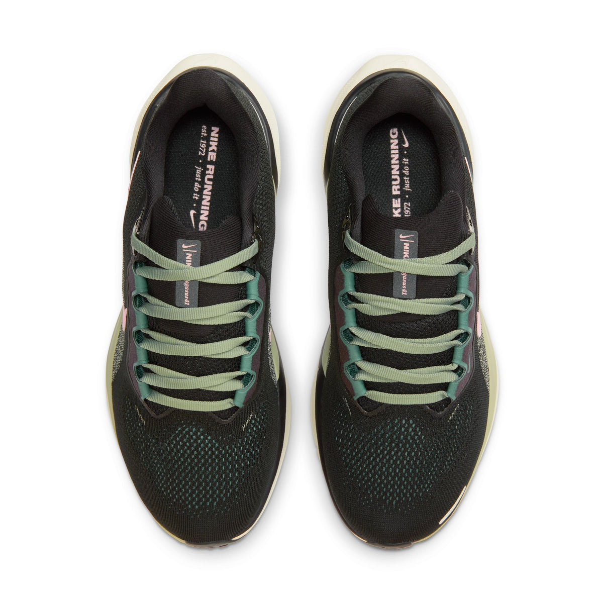 NIKE Air Zoom Pegasus 41 Womens FOOTWEAR - Womens Neutral