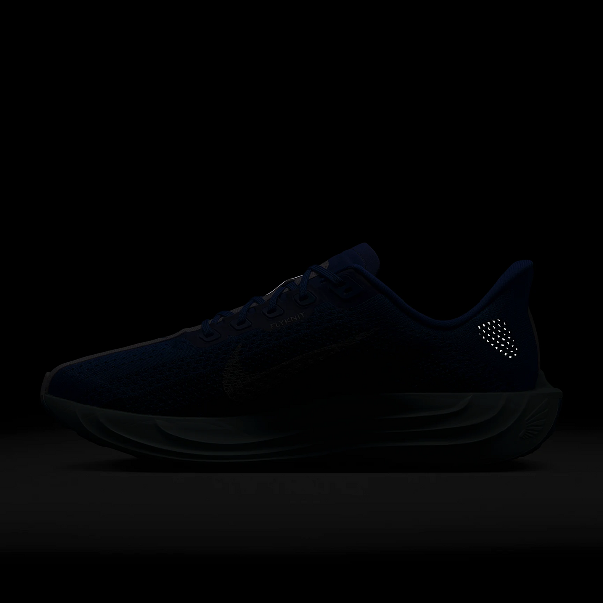 NIKE Pegasus Plus CM Mens FOOTWEAR - Mens Neutral