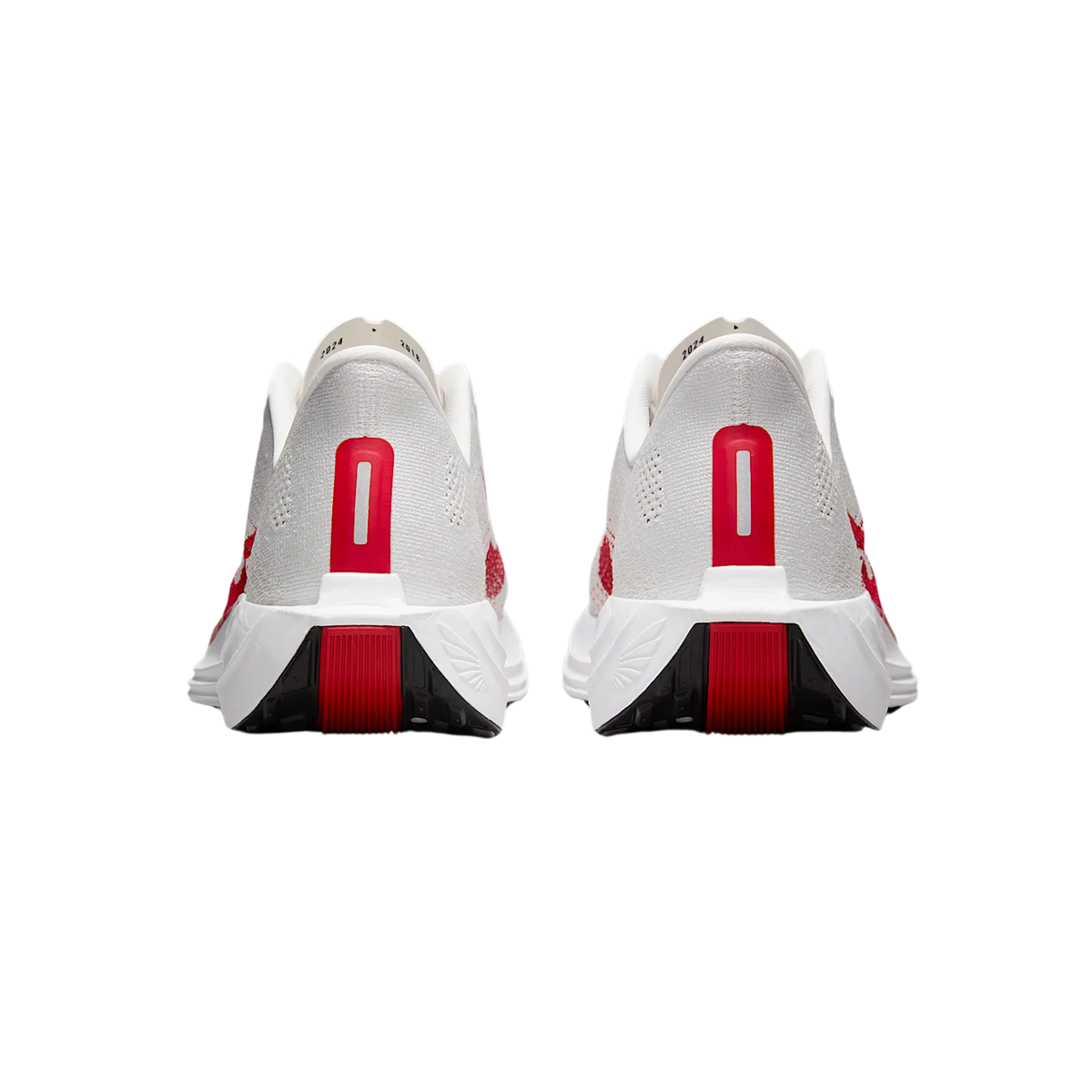 Nike Pegasus Plus Men's Sole Motive - Main Image