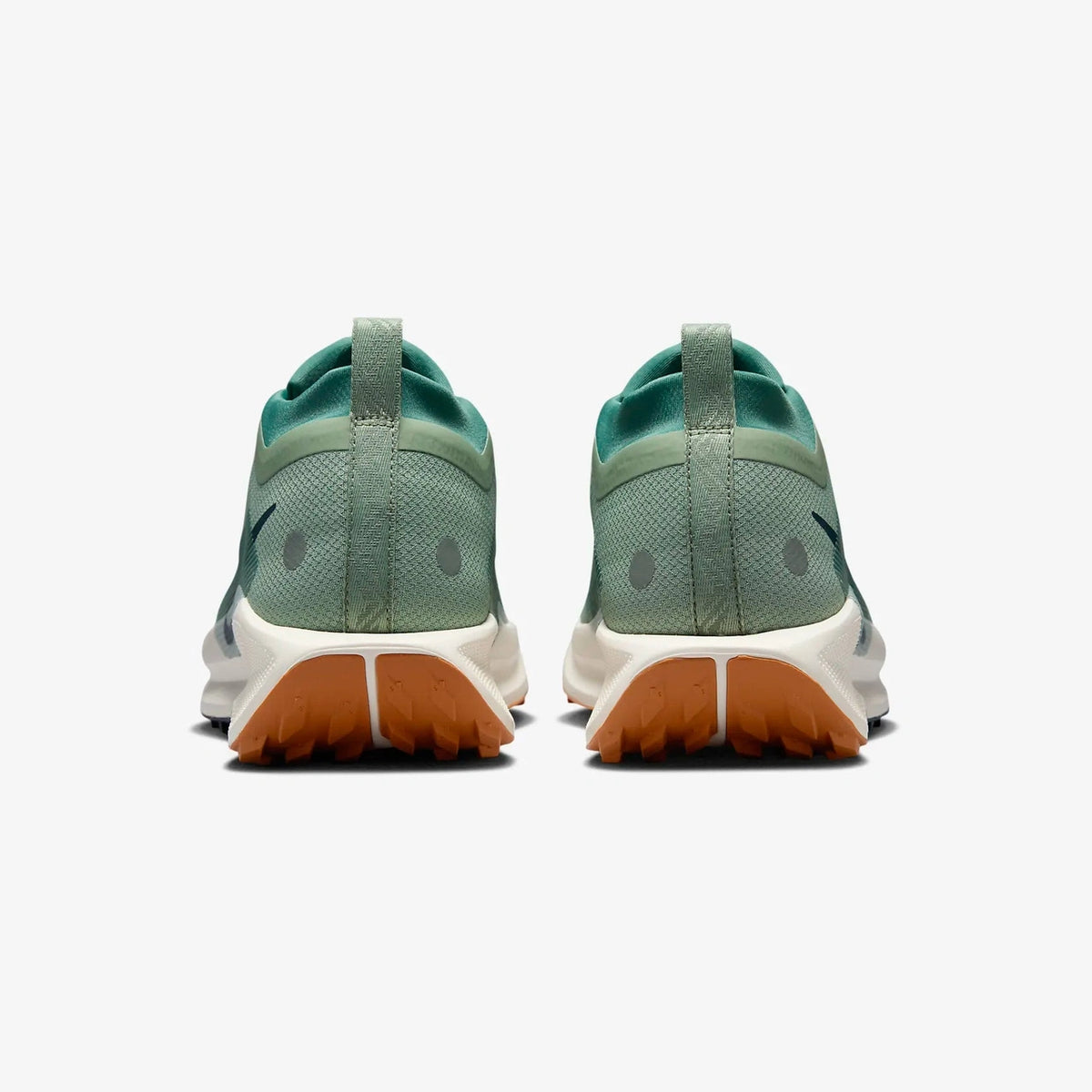 NIKE Pegasus Trail 5 GTX Mens FOOTWEAR - Mens Trail