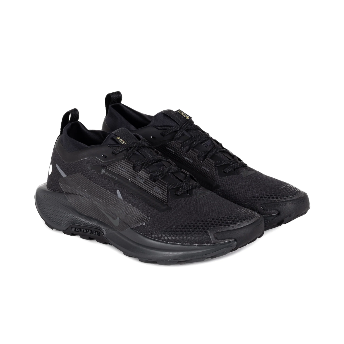 NIKE Pegasus Trail 5 GTX Mens FOOTWEAR - Mens Trail