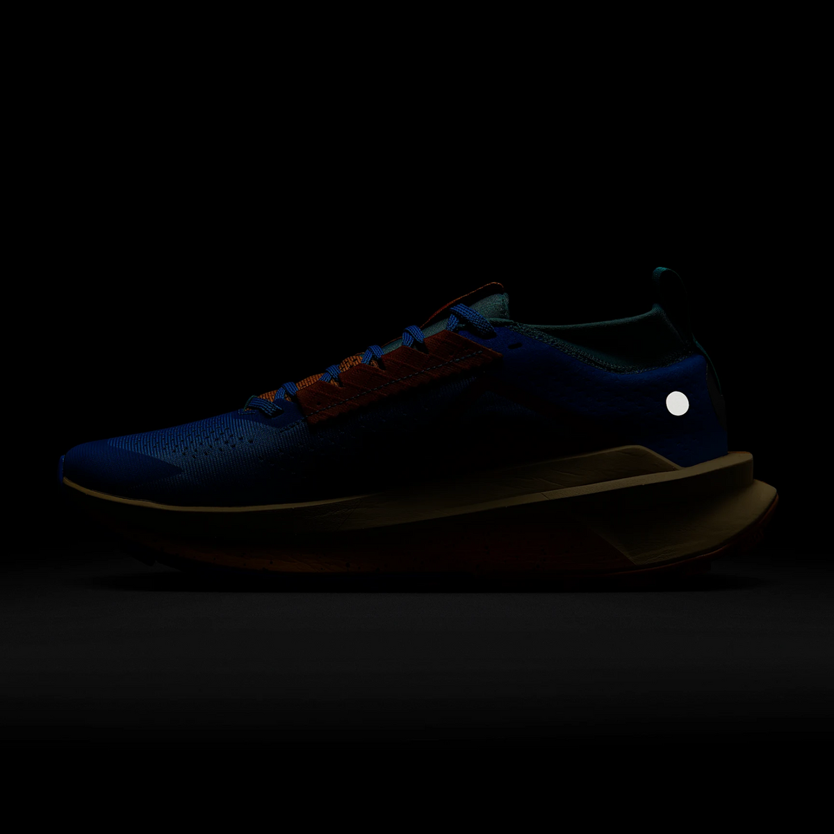 NIKE ZoomX Zegama Trail 2 Mens FOOTWEAR - Mens Trail
